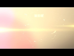 Sistema de inspección lateral del ideo de la rama de la inspección del lanzamiento